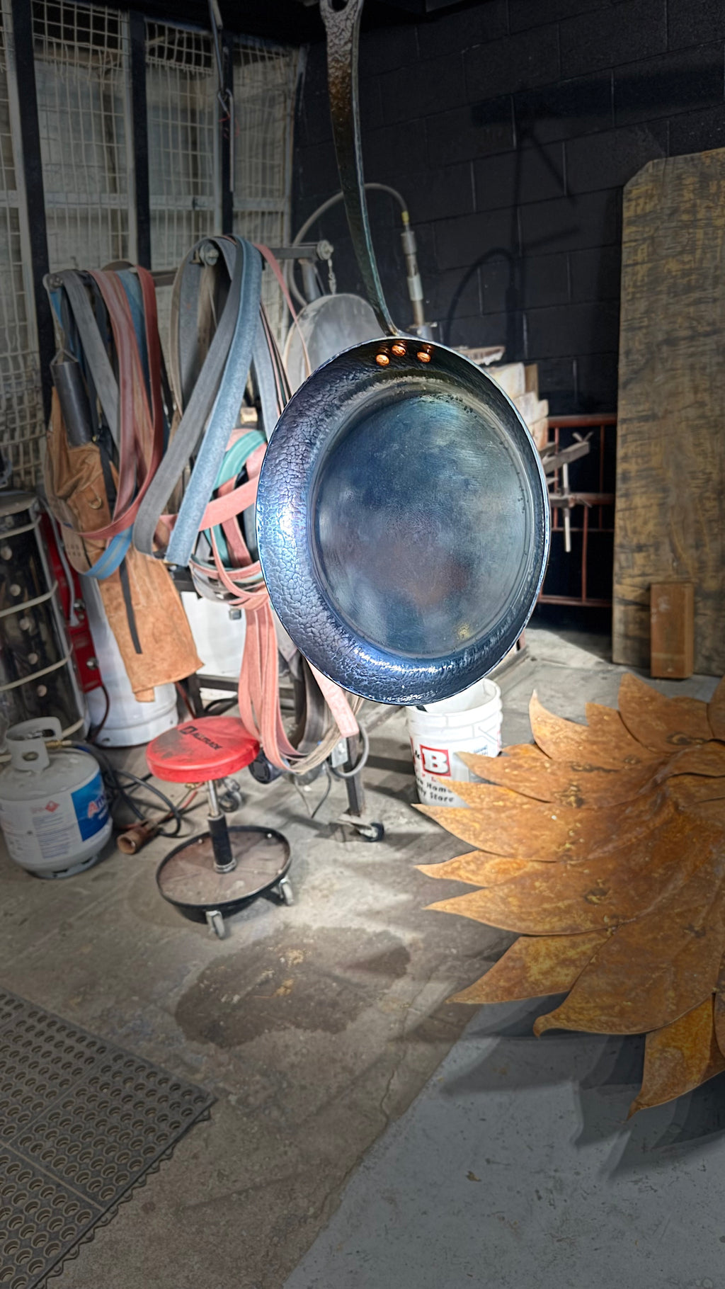 The Forever Pan – Carbon Steel Skillet